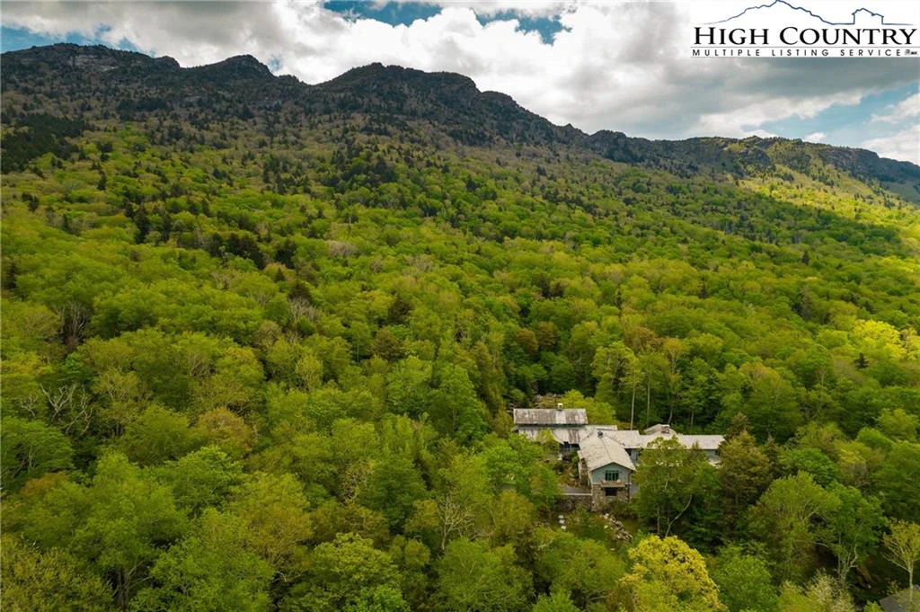 Image number 1 for the current listing