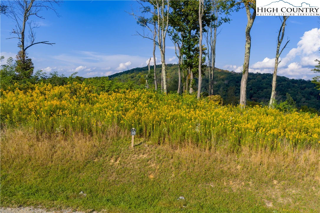 Image number 14 for the current listing