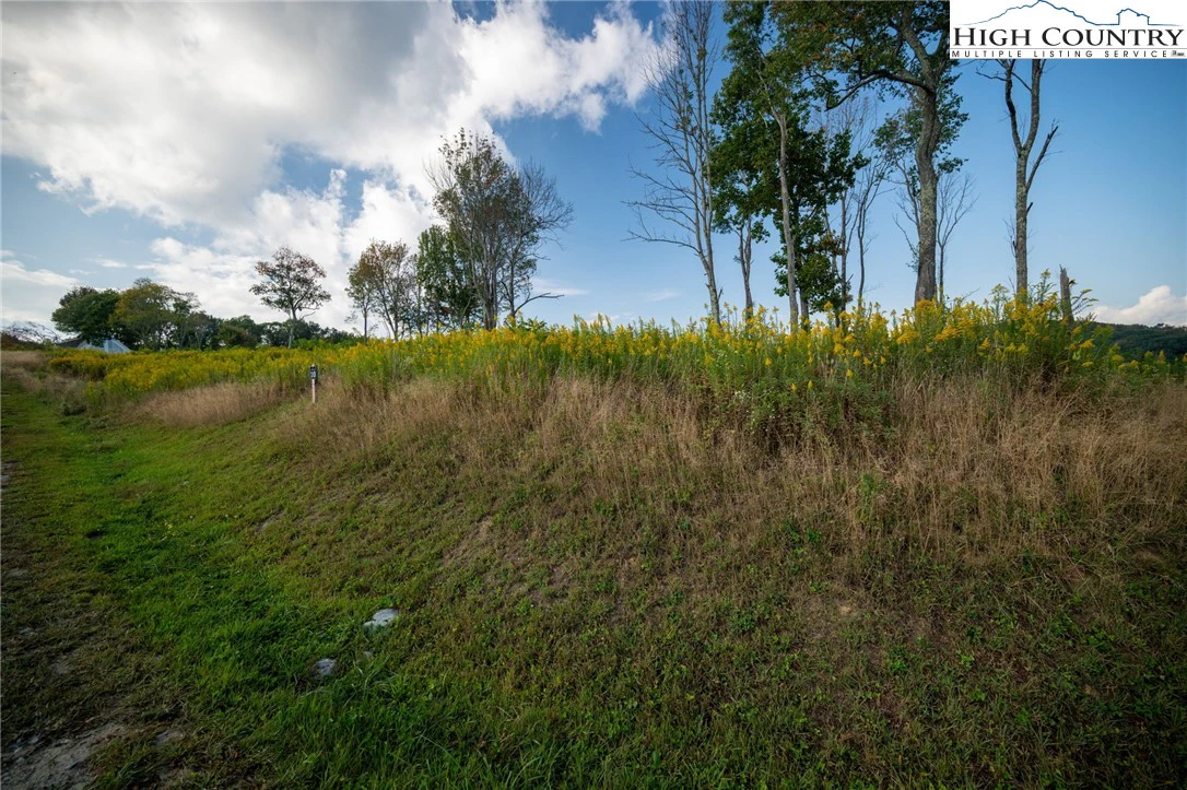 Image number 7 for the current listing