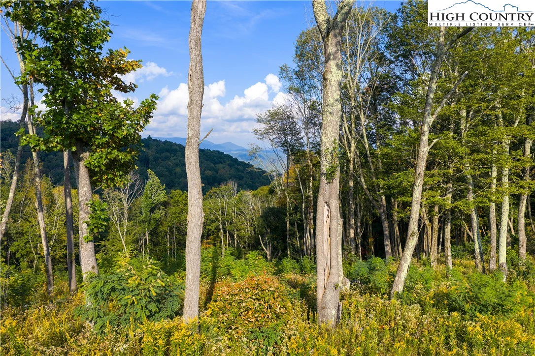 Image number 1 for the current listing
