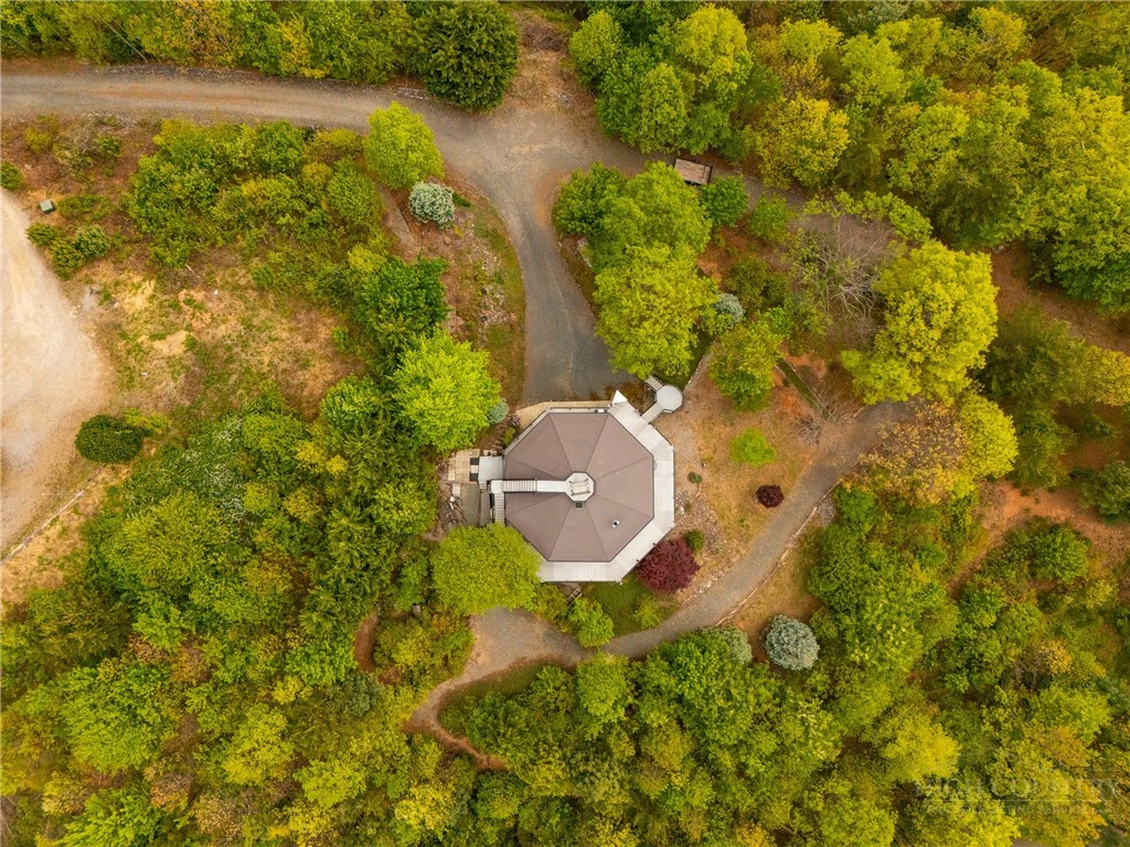 Image number 6 for the current listing