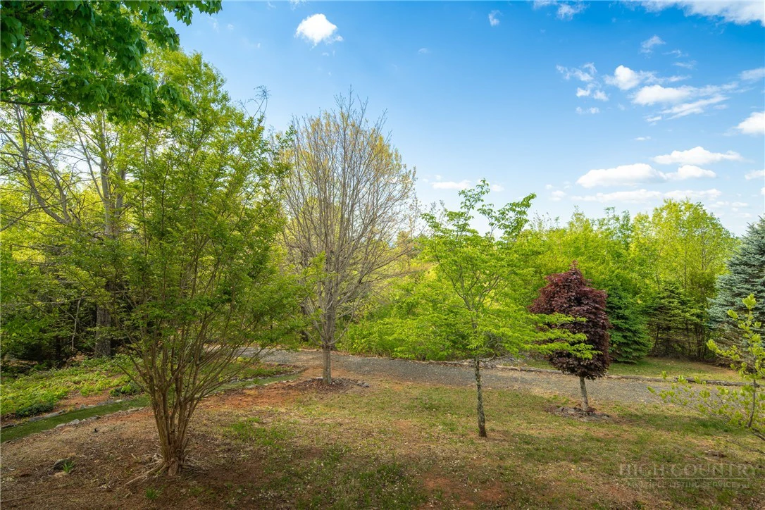 Image number 17 for the current listing
