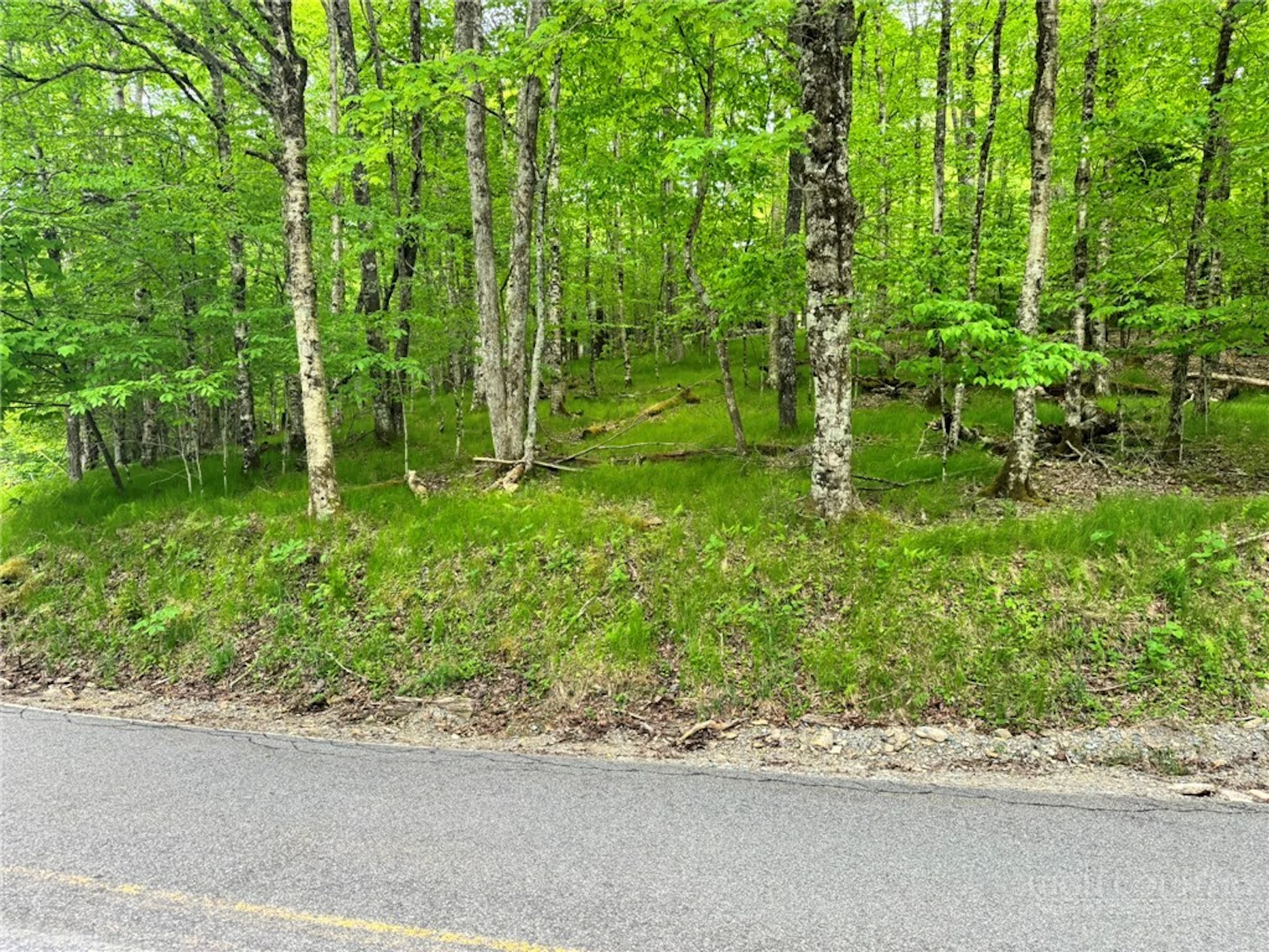 Image number 1 for the current listing