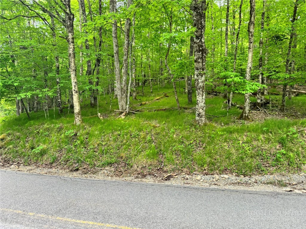 Image number 1 for the current listing