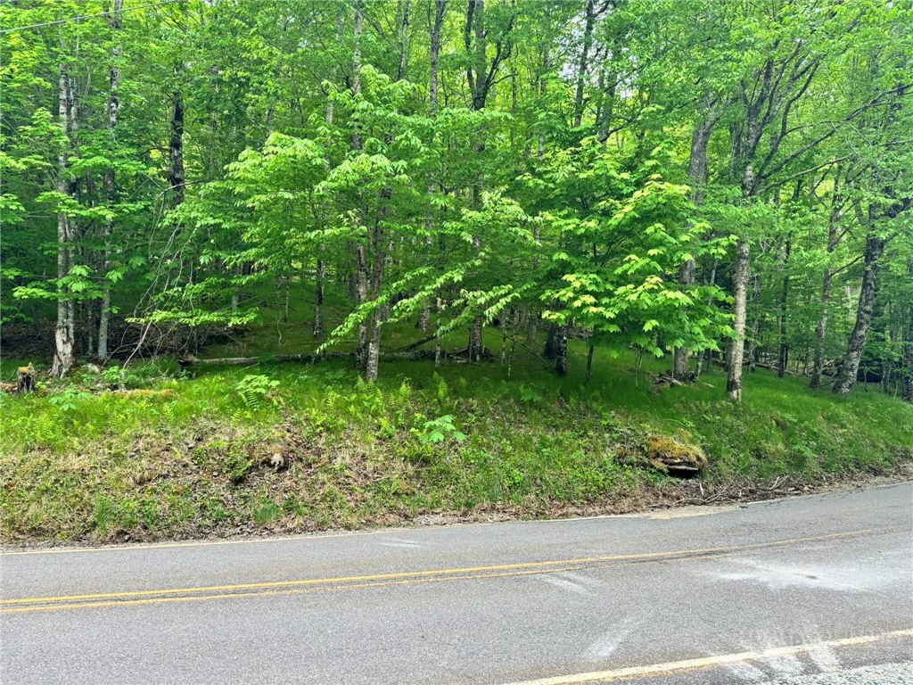 Image number 13 for the current listing