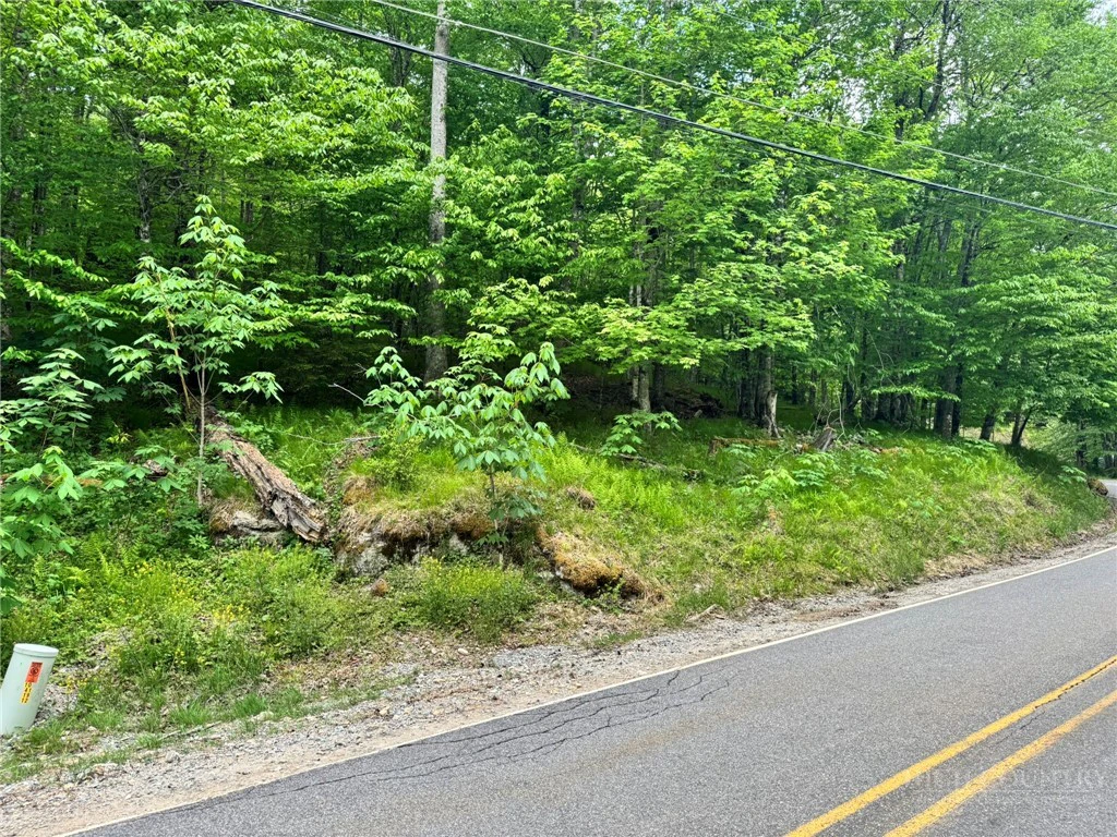 Image number 14 for the current listing
