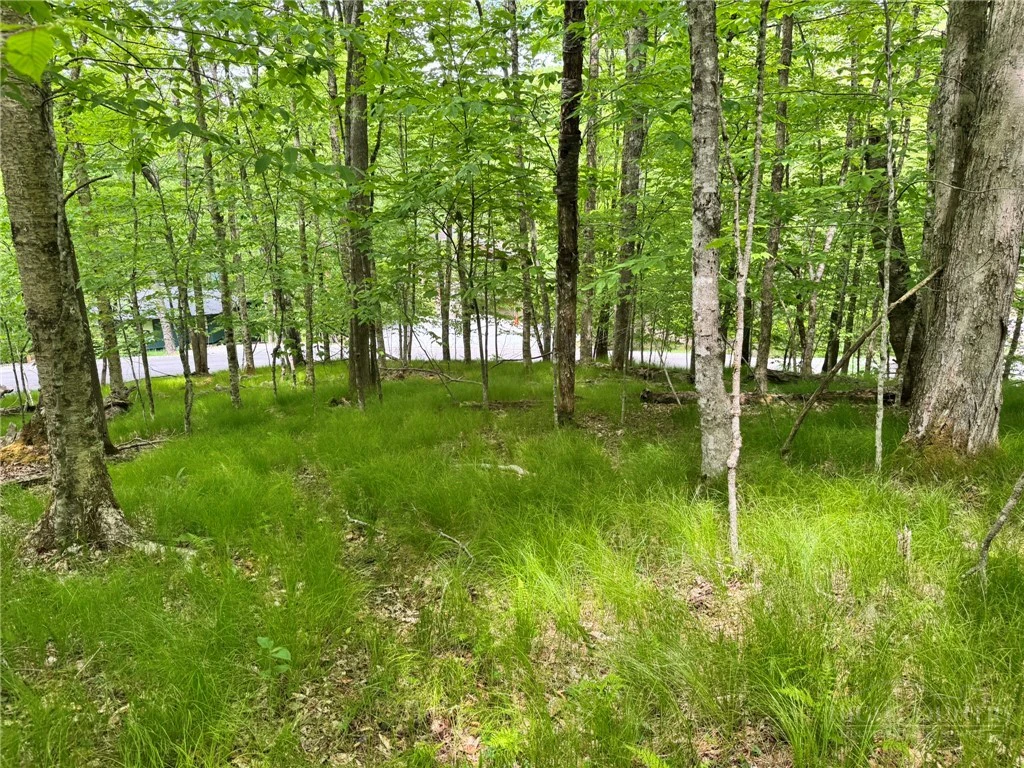 Image number 11 for the current listing