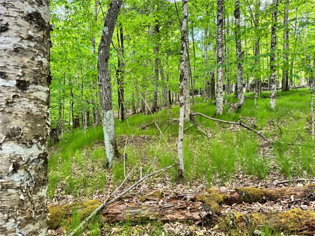 Image number 12 for the current listing