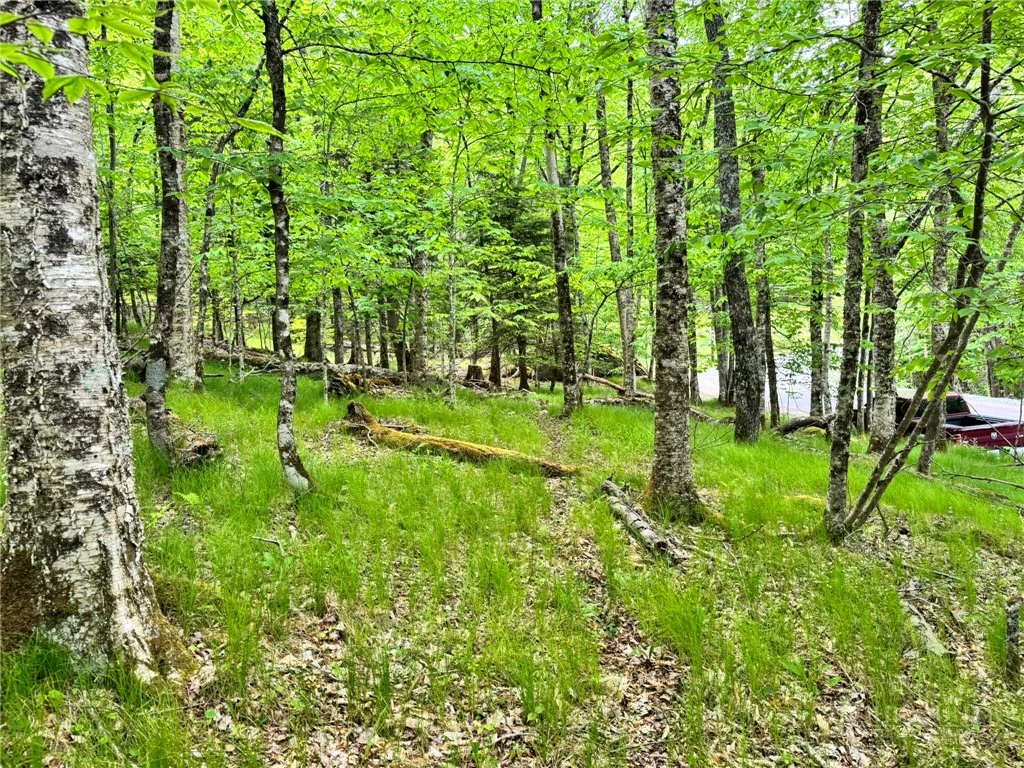 Image number 6 for the current listing