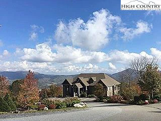 Image number 1 for the current listing