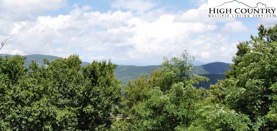 Image number 4 for the current listing