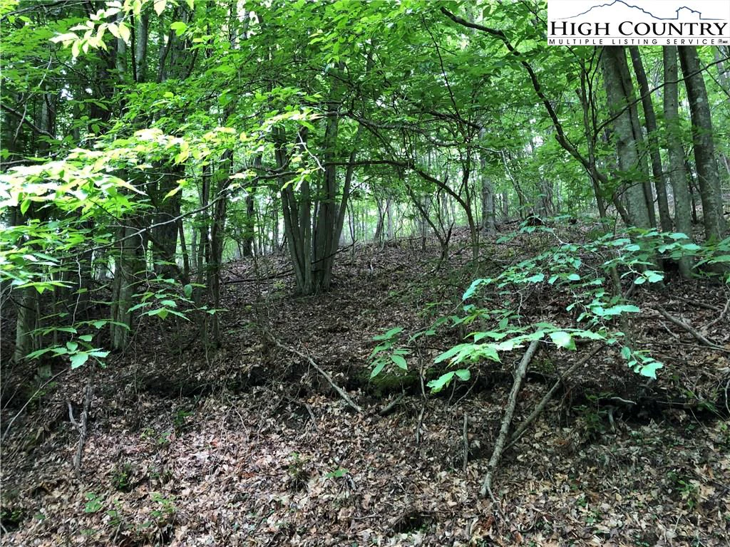 Image number 1 for the current listing