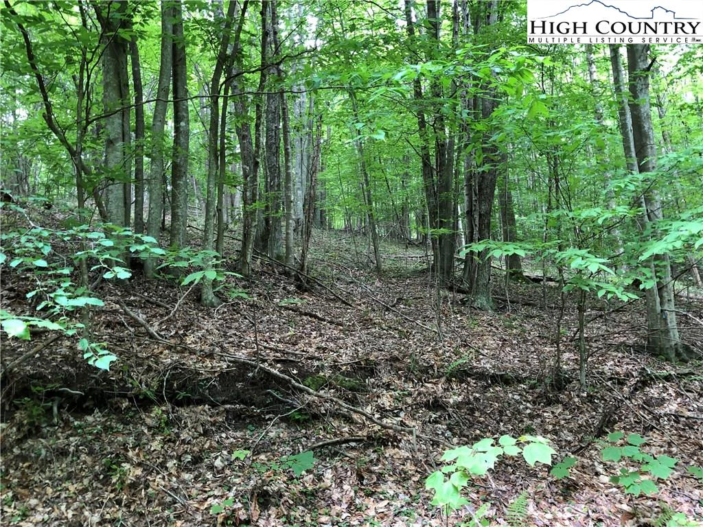 Image number 3 for the current listing