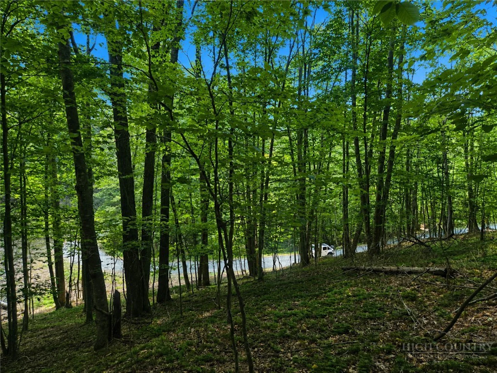 Image number 6 for the current listing