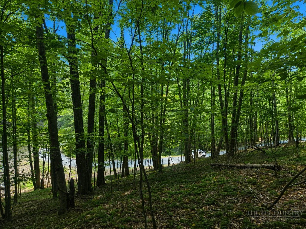 Image number 6 for the current listing