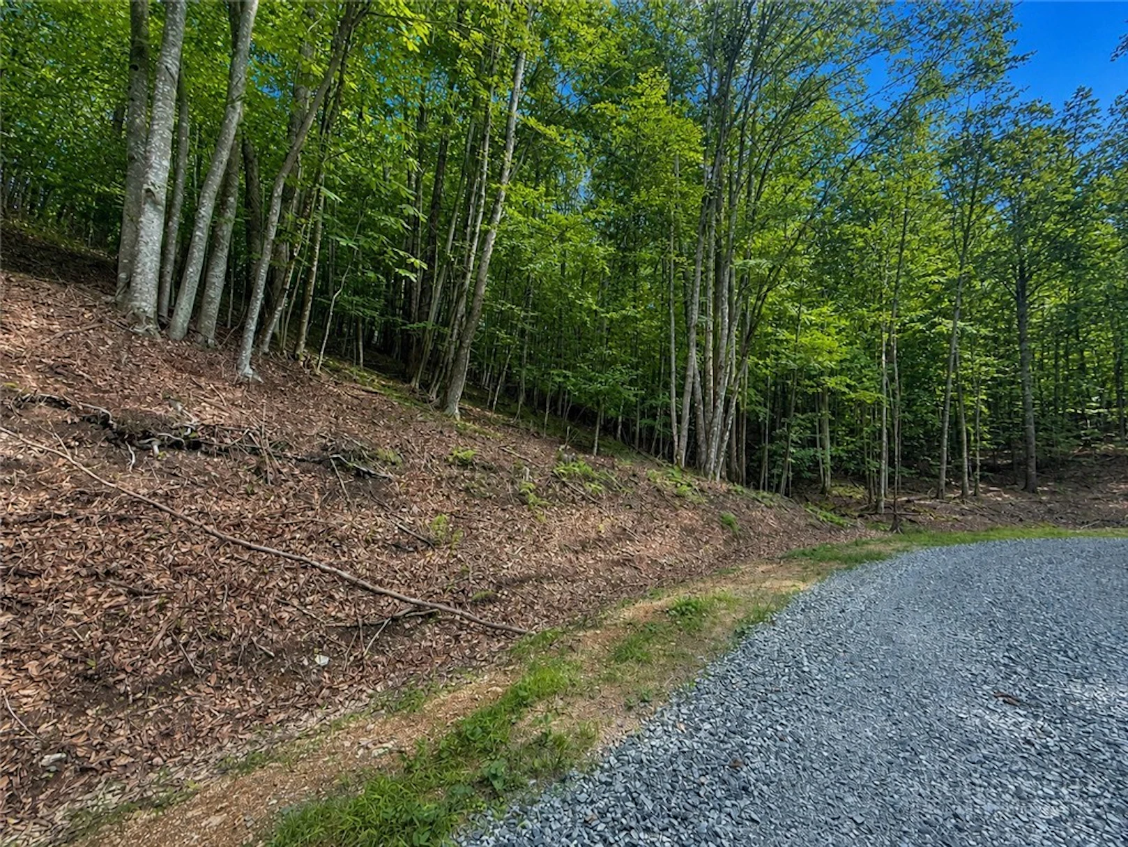Image number 3 for the current listing