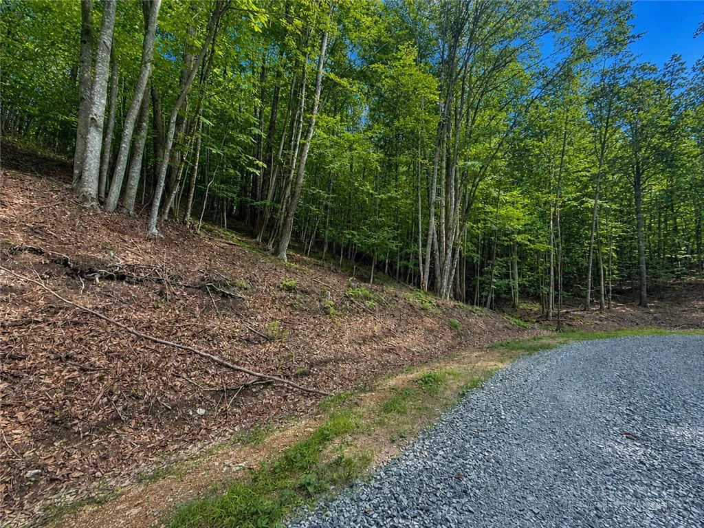 Image number 3 for the current listing