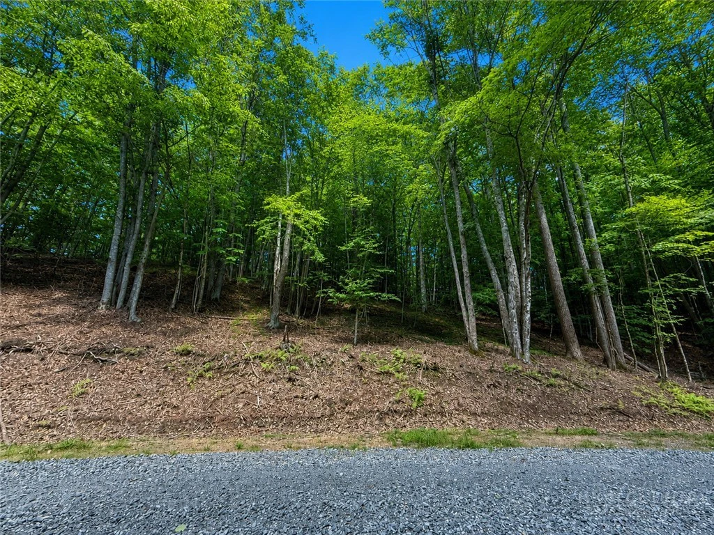Image number 2 for the current listing