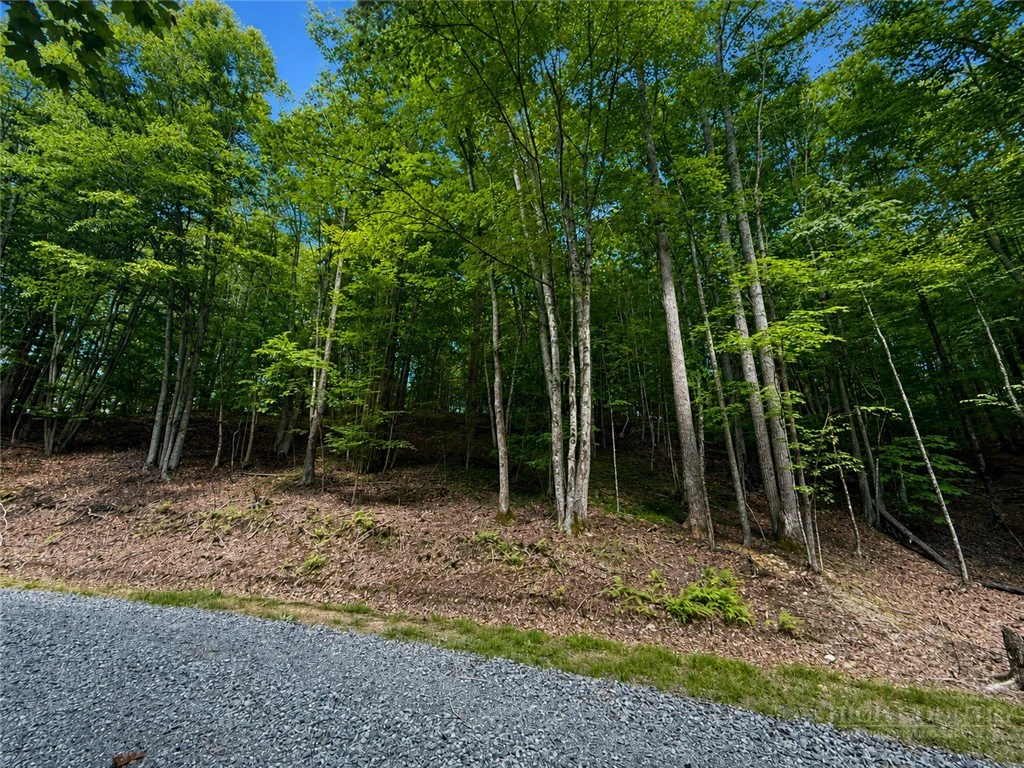 Image number 4 for the current listing