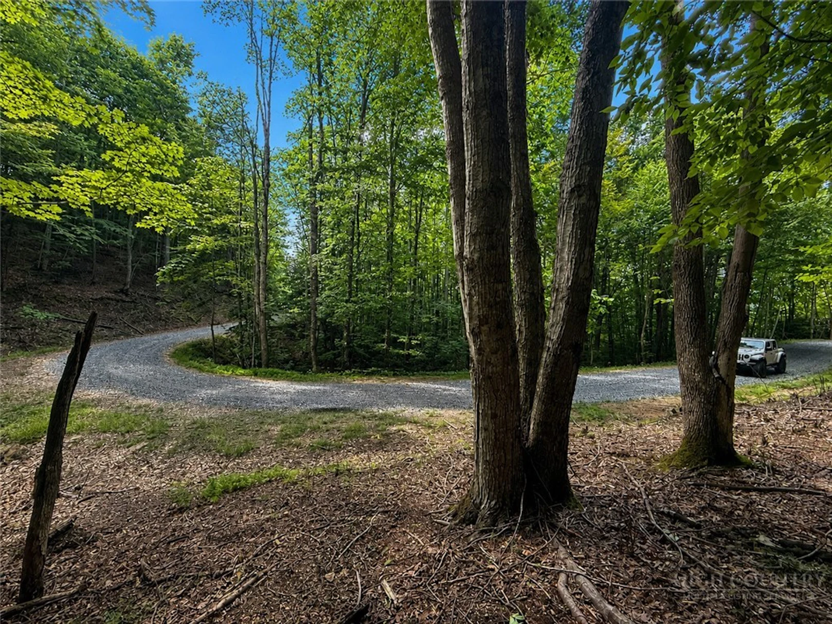 Image number 5 for the current listing
