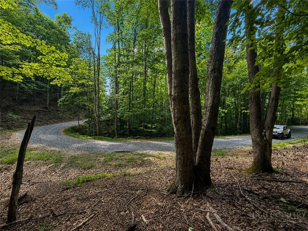 Image number 5 for the current listing