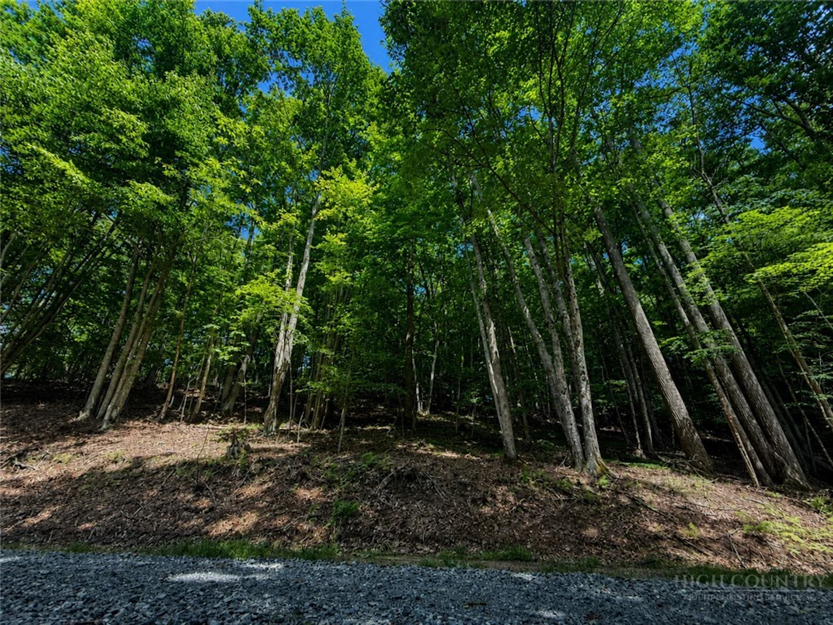 Image number 7 for the current listing