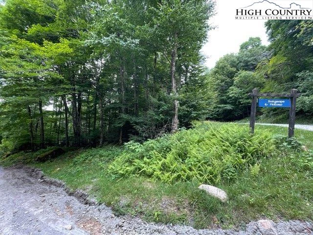 Image number 1 for the current listing