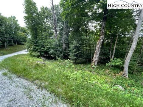 Image number 3 for the current listing