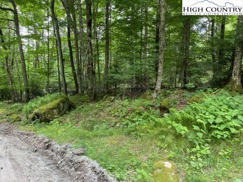 Image number 4 for the current listing