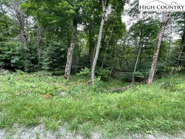 Image number 6 for the current listing