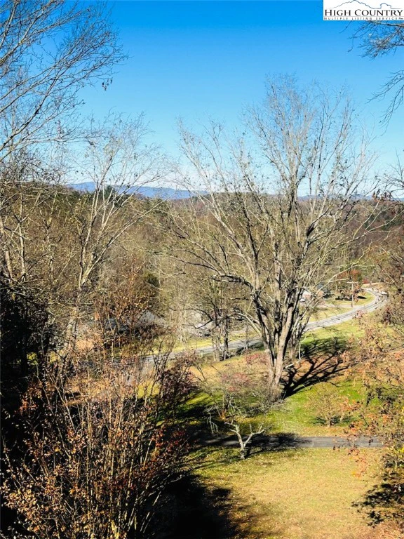Image number 2 for the current listing