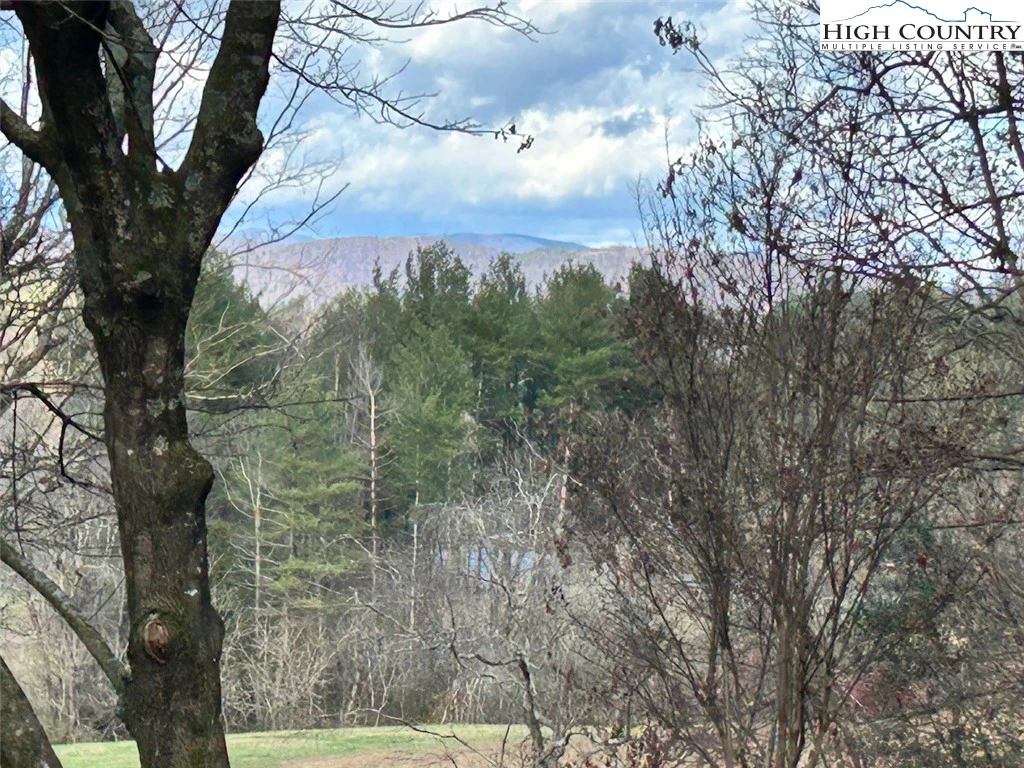 Image number 12 for the current listing
