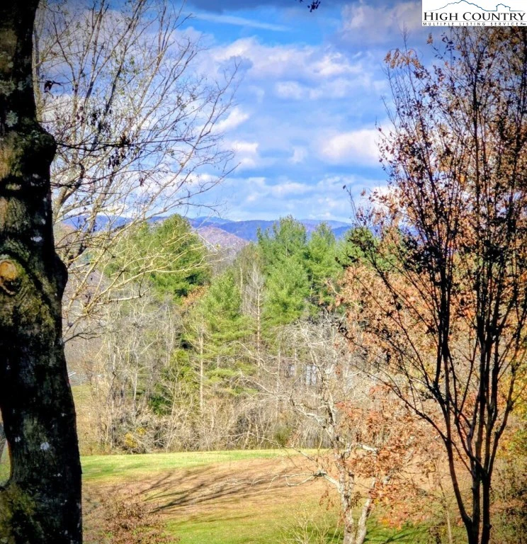 Image number 14 for the current listing