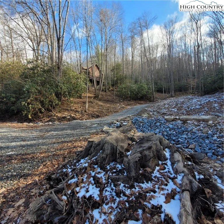 Image number 1 for the current listing