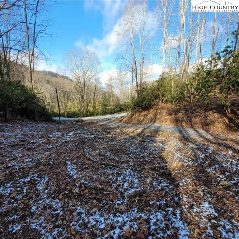 Image number 2 for the current listing