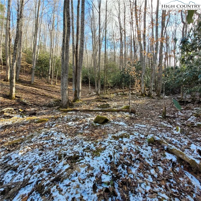 Image number 12 for the current listing
