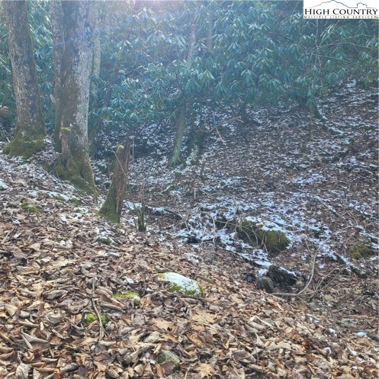 Image number 11 for the current listing