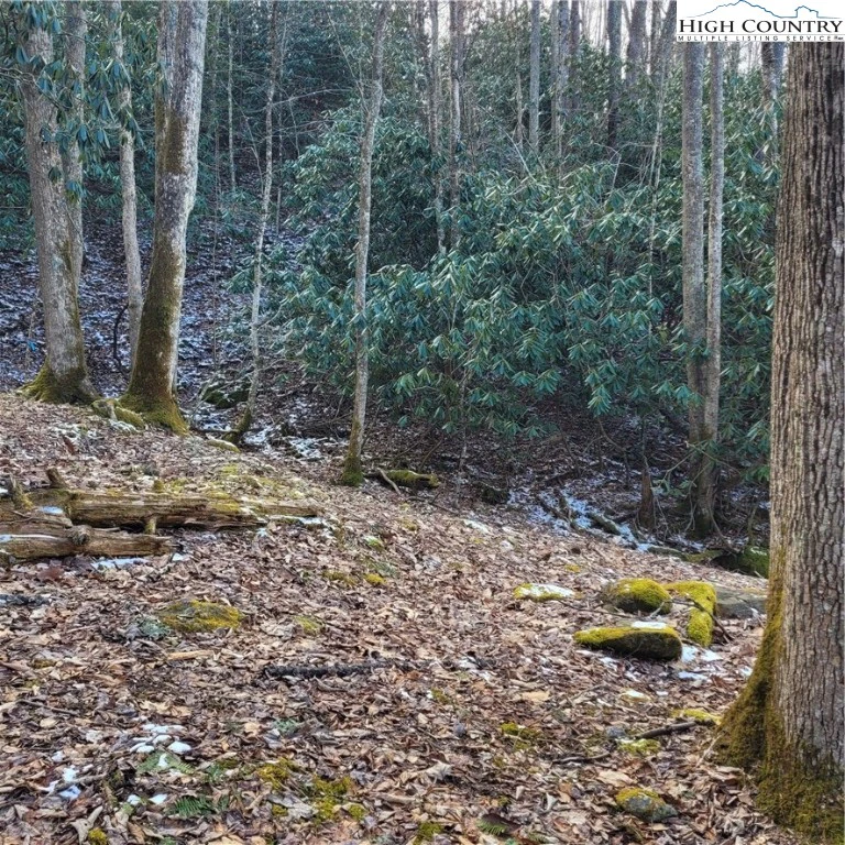 Image number 5 for the current listing