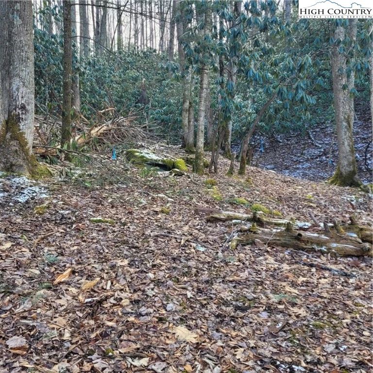 Image number 4 for the current listing