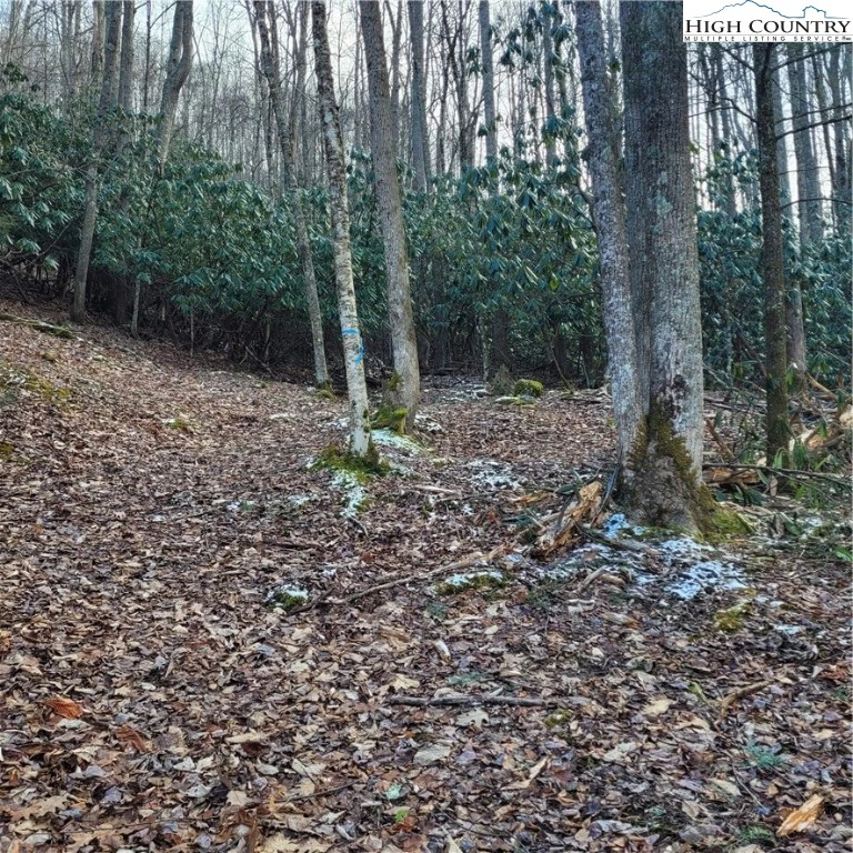 Image number 3 for the current listing