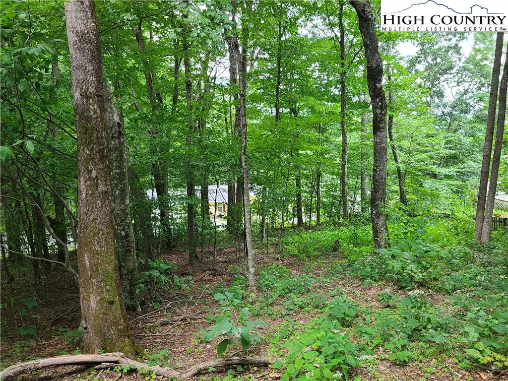 Image number 15 for the current listing