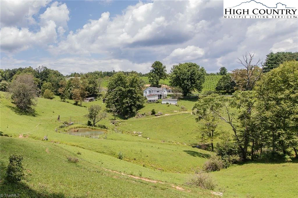 Image number 1 for the current listing