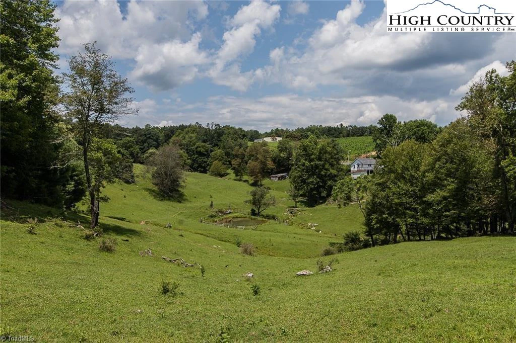 Image number 10 for the current listing