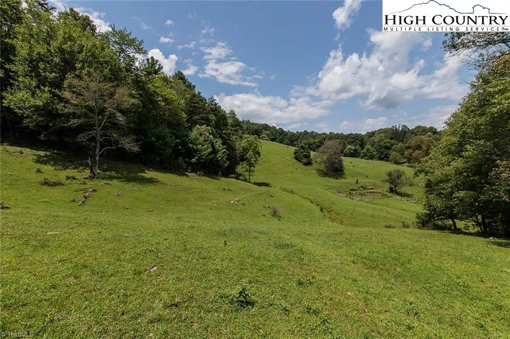 Image number 9 for the current listing