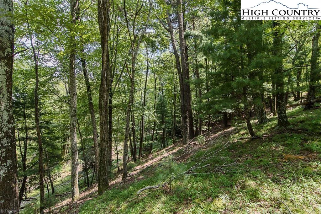 Image number 8 for the current listing