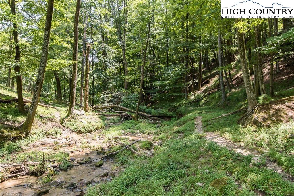 Image number 7 for the current listing