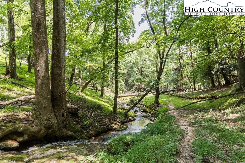 Image number 6 for the current listing