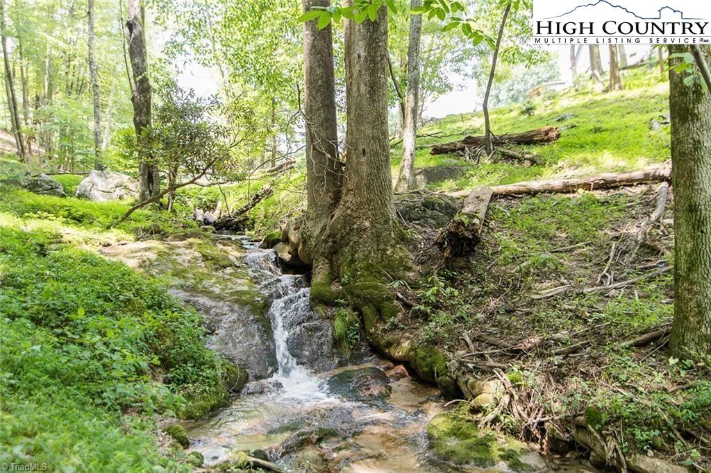 Image number 5 for the current listing
