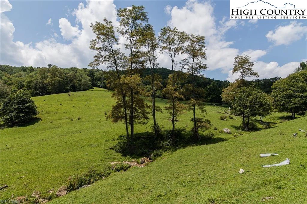 Image number 16 for the current listing