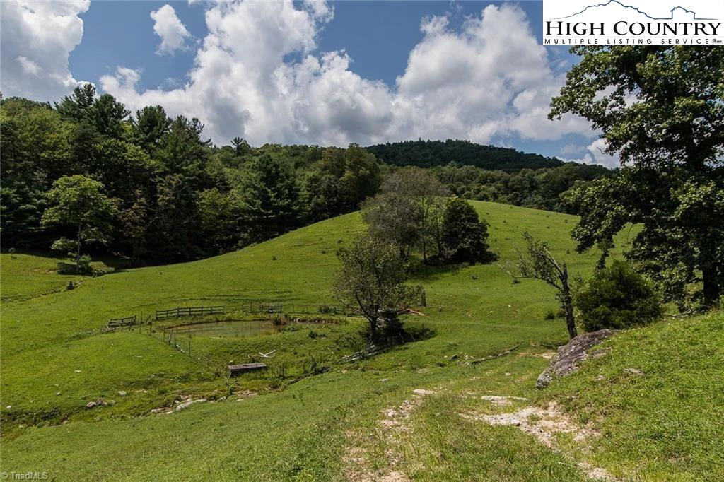 Image number 14 for the current listing